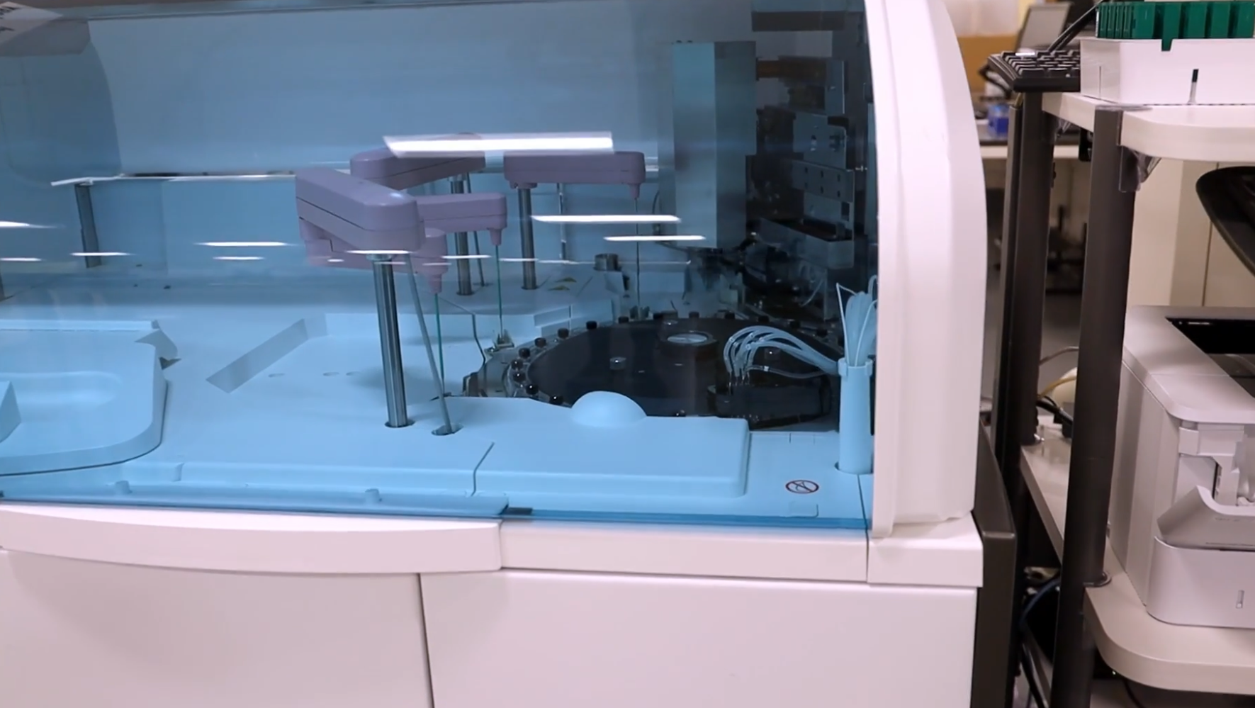 A Robot Can't Reason Video Thumbnail